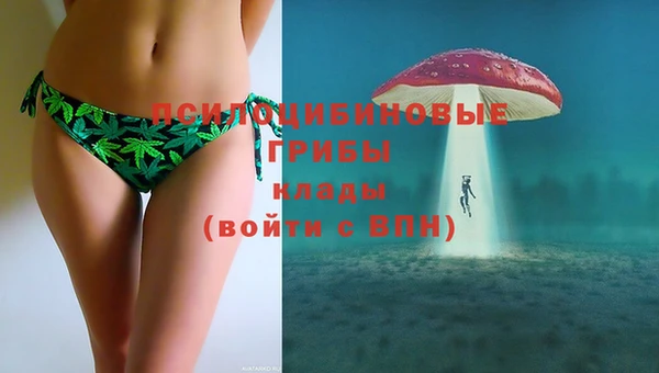 PSILOCYBIN Алексин