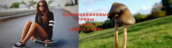 PSILOCYBIN Алексин