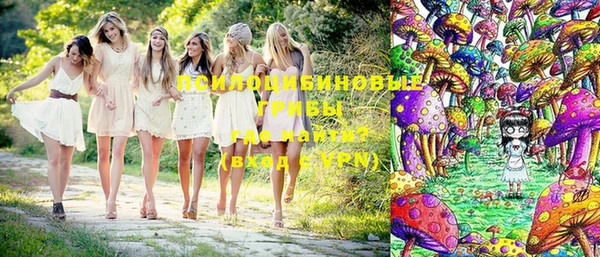 МДМА Алексеевка