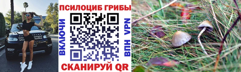 купить наркотики сайты  Кулебаки  Псилоцибиновые грибы мицелий 